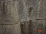 Cracks in the roof.