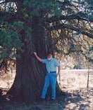 Return to Summit Juniper